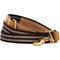 Show in main carousel: Blueberry Pet Polyester Fabric Webbing & Soft Genuine Leather Dog Leash, Chocolate/Taupe, Large : 6-ft long, 1-in wide slide 1 of 6