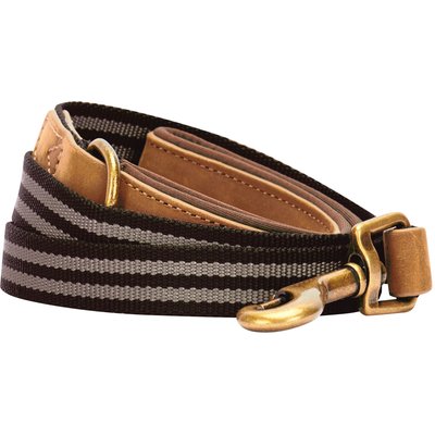 Blueberry Pet Blueberry Pet Polyester Fabric Webbing & Soft Genuine Leather Dog Leash, Chocolate/Taupe, Medium: 6-ft long, 3/4-in wide