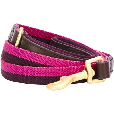 Blueberry Pet Blueberry Pet Polyester Fabric Webbing & Soft Genuine Leather Dog Leash, Hot Pink/Purple, Medium: 4-ft long, 3/4-in wide