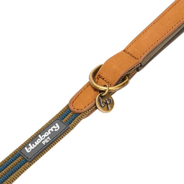 Blueberry Pet Polyester Fabric Webbing & Soft Genuine Leather Dog Leash