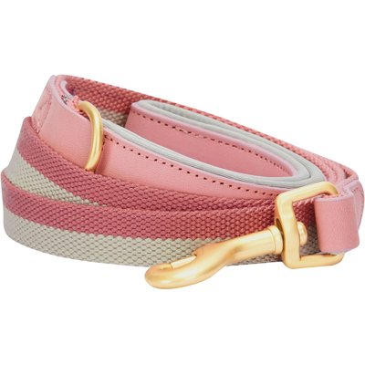 Blueberry Pet Blueberry Pet Polyester Fabric Webbing & Soft Genuine Leather Dog Leash, Pink/Grey, Large : 6-ft long, 1-in wide