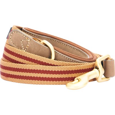 Blueberry Pet Blueberry Pet Polyester Fabric Webbing & Soft Genuine Leather Dog Leash, Red/Brown, Large : 6-ft long, 1-in wide