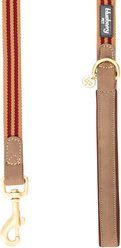 Blueberry Pet Polyester Fabric Webbing & Soft Genuine Leather Dog Leash, Red/Brown, Medium: 6-ft long, 3/4-in wide slide 2 of 5