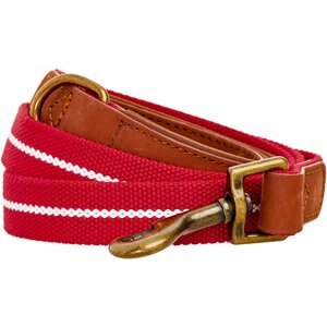 Blueberry Pet Polyester Fabric Webbing & Soft Genuine Leather Dog Leash, Red/White, Large: 4-ft long, 1-in wide