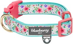 Blueberry Pet Pretty Posies Spring Padded Polyester Dog Collar, Garden Green, Large: 18 to 26-in neck, 1-in wide