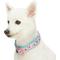 Show in main carousel: Blueberry Pet Pretty Posies Spring Padded Polyester Dog Collar, Garden Green, Medium: 14.5 to 20-in neck, 3/4-in wide slide 4 of 8