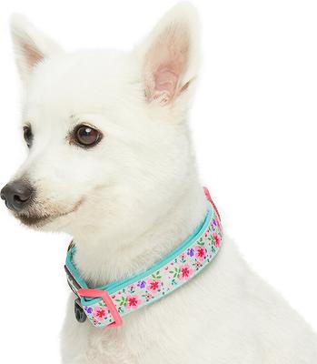 Show full view: Blueberry Pet Pretty Posies Spring Padded Polyester Dog Collar, Garden Green, Medium: 14.5 to 20-in neck, 3/4-in wide slide 4 of 8