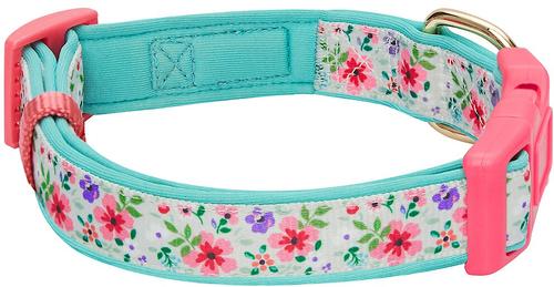 Show full view: Blueberry Pet Pretty Posies Spring Padded Polyester Dog Collar, Garden Green, Small: 12 to 16-in neck, 5/8-in wide slide 3 of 8