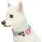 Show in main carousel: Blueberry Pet Pretty Posies Spring Padded Polyester Dog Collar, Garden Green, Small: 12 to 16-in neck, 5/8-in wide slide 4 of 8