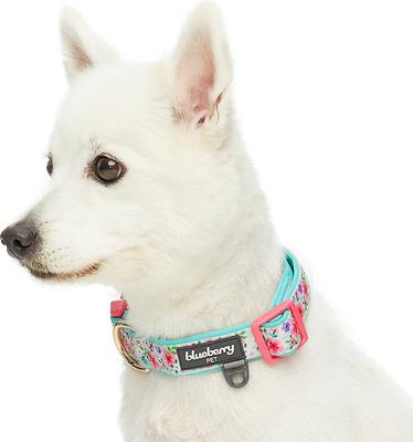 Show full view: Blueberry Pet Pretty Posies Spring Padded Polyester Dog Collar, Garden Green, Small: 12 to 16-in neck, 5/8-in wide slide 4 of 8