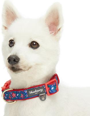 Show full view: Blueberry Pet Pretty Posies Spring Padded Polyester Dog Collar, Garden Navy, Large: 18 to 26-in neck, 1-in wide slide 3 of 8