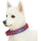Show in main carousel: Blueberry Pet Pretty Posies Spring Padded Polyester Dog Collar, Garden Navy, Large: 18 to 26-in neck, 1-in wide slide 4 of 8