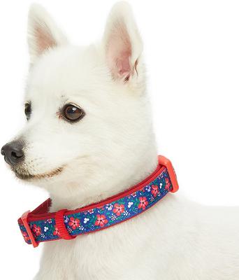 Show full view: Blueberry Pet Pretty Posies Spring Padded Polyester Dog Collar, Garden Navy, Large: 18 to 26-in neck, 1-in wide slide 4 of 8