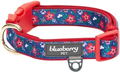Blueberry Pet Pretty Posies Spring Padded Polyester Dog Collar, Garden Navy, Medium: 14.5 to 20-in neck, 3/4-in wide
