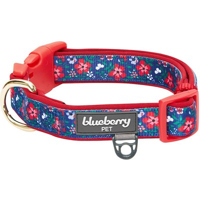 Blueberry Pet Blueberry Pet Pretty Posies Spring Padded Polyester Dog Collar, Garden Navy, Small: 12 to 16-in neck, 5/8-in wide