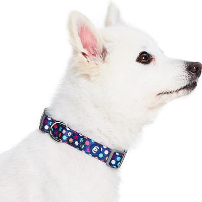 Show full view: Blueberry Pet Rainbow Polka Dots Personalized Dog Collar, Rainbow Polka Dots, Medium: 14.5 to 20-in neck 3/4-in wide slide 3 of 7