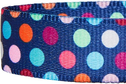 Show full view: Blueberry Pet Rainbow Polka Dots Personalized Dog Collar, Rainbow Polka Dots, Medium: 14.5 to 20-in neck 3/4-in wide slide 5 of 7