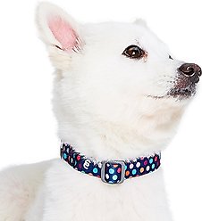 Blueberry Pet Rainbow Polka Dots Personalized Dog Collar, Rainbow Polka Dots, Small: 12 to 16-in neck, 5/8-in wide slide 2 of 7