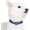 Show in main carousel: Blueberry Pet Rainbow Polka Dots Personalized Dog Collar, Rainbow Polka Dots, Small: 12 to 16-in neck, 5/8-in wide slide 2 of 7