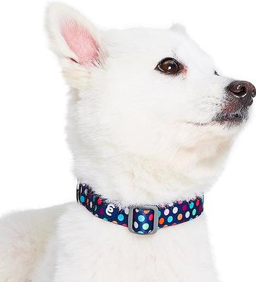Show full view: Blueberry Pet Rainbow Polka Dots Personalized Dog Collar, Rainbow Polka Dots, Small: 12 to 16-in neck, 5/8-in wide slide 2 of 7