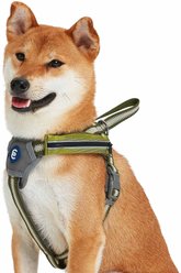 Blueberry Pet Reflective Back to Basics Dog Harness Vest, Dark Olive, Small: 16.5 to 21-in chest