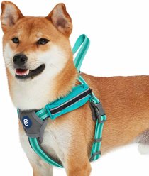 Blueberry Pet Reflective Back to Basics Dog Harness Vest, Minty Green, Large: 27 to 38.5-in chest