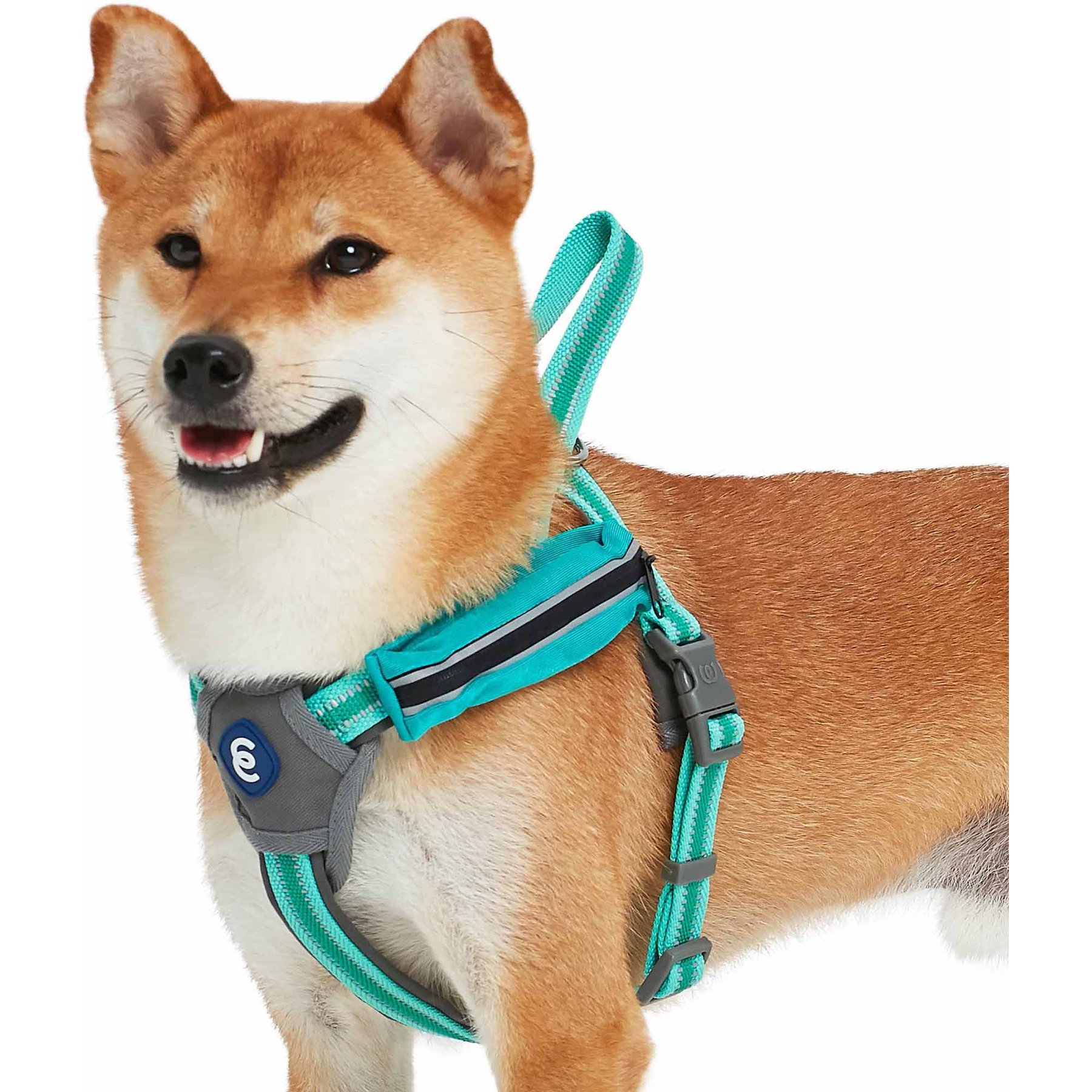 Blueberry Pet Reflective Back to Basics Dog Harness Vest, Minty Green, Large: 27 to 38.5-in chest