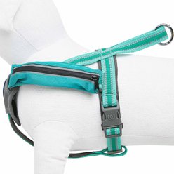 Blueberry Pet Reflective Back to Basics Dog Harness Vest, Minty Green, Large: 27 to 38.5-in chest slide 2 of 5