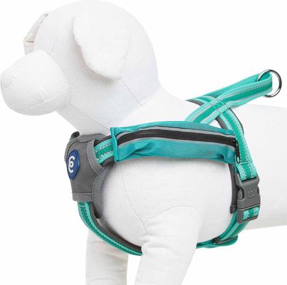 Show full view: Blueberry Pet Reflective Back to Basics Dog Harness Vest, Minty Green, Large: 27 to 38.5-in chest slide 3 of 5