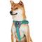 Show in main carousel: Blueberry Pet Reflective Back to Basics Dog Harness Vest, Minty Green, Large: 27 to 38.5-in chest slide 2 of 5