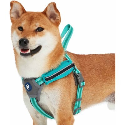 Blueberry Pet Blueberry Pet Reflective Back to Basics Dog Harness Vest, Minty Green, Medium: 21.5 to 26.75-in chest