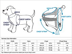 Blueberry Pet Reflective Back to Basics Dog Harness Vest, Minty Green, Medium: 21.5 to 26.75-in chest slide 2 of 5