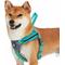 Show in main carousel: Blueberry Pet Reflective Back to Basics Dog Harness Vest, Minty Green, Small: 16.5 to 21-in chest slide 1 of 5