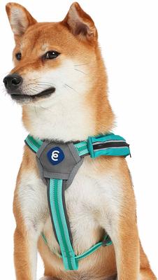 Show full view: Blueberry Pet Reflective Back to Basics Dog Harness Vest, Minty Green, Small: 16.5 to 21-in chest slide 2 of 5