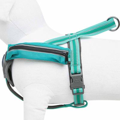 Show full view: Blueberry Pet Reflective Back to Basics Dog Harness Vest, Minty Green, Small: 16.5 to 21-in chest slide 4 of 5