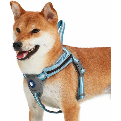 Blueberry Pet Blueberry Pet Reflective Back to Basics Dog Harness Vest, Sky Blue, Medium: 21.5 to 26.75-in chest