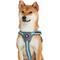 Show in main carousel: Blueberry Pet Reflective Back to Basics Dog Harness Vest, Sky Blue, Medium: 21.5 to 26.75-in chest slide 2 of 5