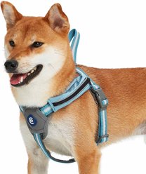 Blueberry Pet Reflective Back to Basics Dog Harness Vest, Sky Blue, Small: 16.5 to 21-in chest