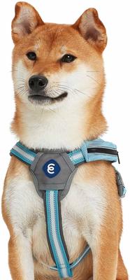 Show full view: Blueberry Pet Reflective Back to Basics Dog Harness Vest, Sky Blue, Small: 16.5 to 21-in chest slide 2 of 5