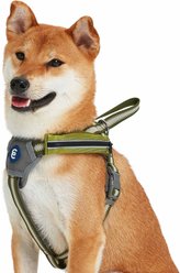 Blueberry Pet Reflective Back to Basics No Pull Dog Harness Vest, Dark Olive, Medium: 21.5 to 26.75-in chest