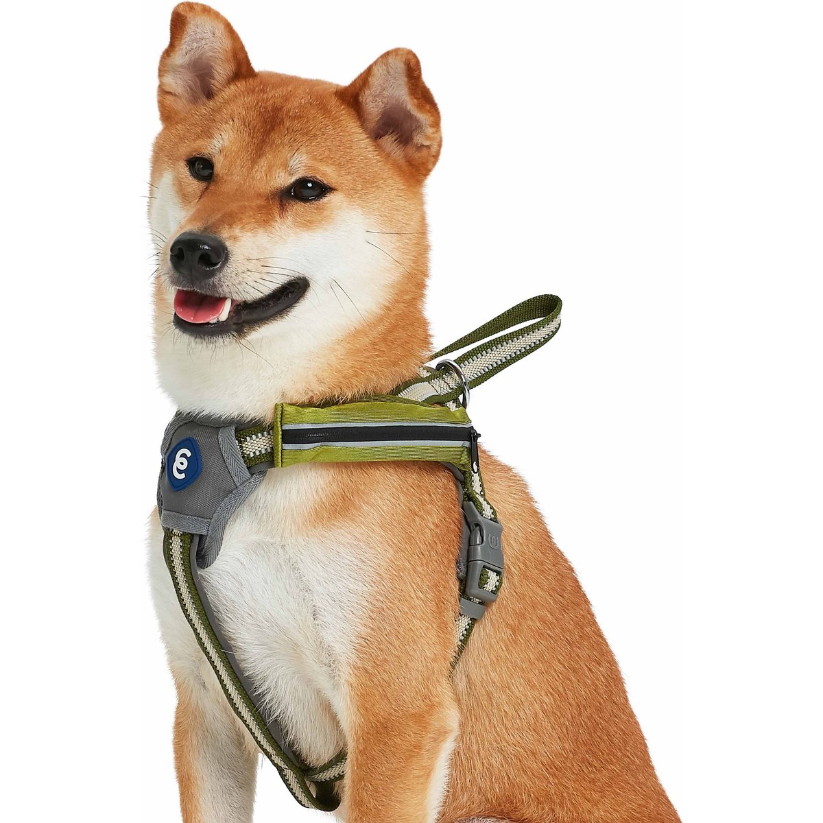Blueberry Pet Reflective Back to Basics No Pull Dog Harness Vest, Dark Olive, Medium: 21.5 to 26.75-in chest
