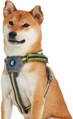 Show full view: Blueberry Pet Reflective Back to Basics No Pull Dog Harness Vest, Dark Olive, Medium: 21.5 to 26.75-in chest slide 2 of 5