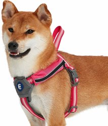 Blueberry Pet Reflective Back to Basics No Pull Dog Harness Vest, French Pink, Small: 16.5 to 21-in chest