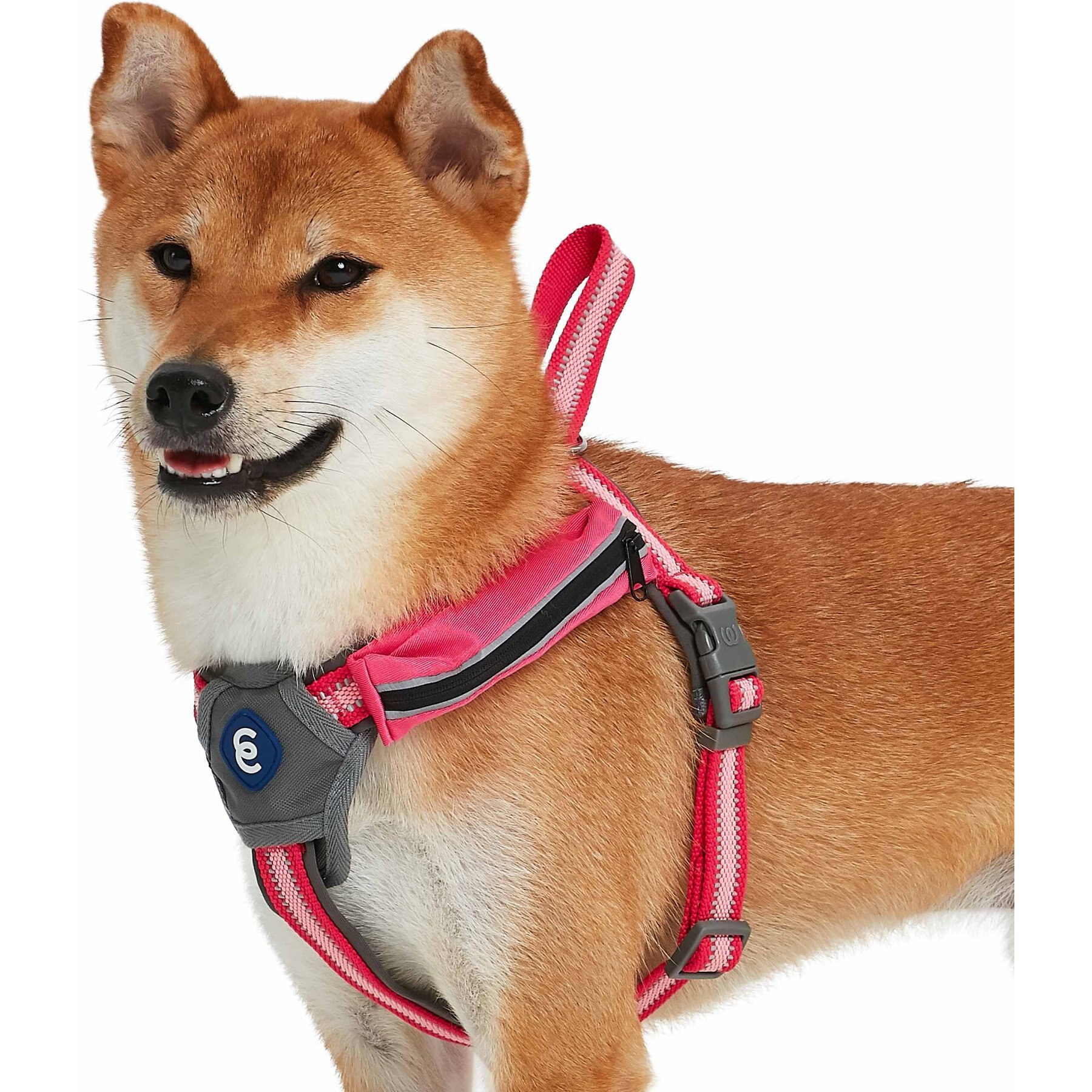 Blueberry Pet Reflective Back to Basics No Pull Dog Harness Vest, French Pink, Small: 16.5 to 21-in chest