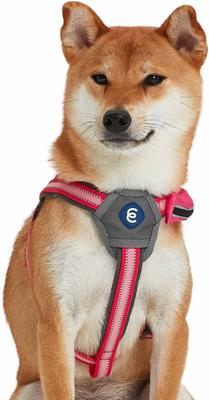 Show full view: Blueberry Pet Reflective Back to Basics No Pull Dog Harness Vest, French Pink, Small: 16.5 to 21-in chest slide 3 of 6