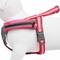 Show in main carousel: Blueberry Pet Reflective Back to Basics No Pull Dog Harness Vest, French Pink, Small: 16.5 to 21-in chest slide 5 of 6