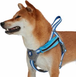 Blueberry Pet Reflective Back to Basics No Pull Dog Harness Vest, Navy Blue, Large: 27 to 38.5-in chest