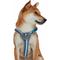 Show in main carousel: Blueberry Pet Reflective Back to Basics No Pull Dog Harness Vest, Navy Blue, Small: 16.5 to 21-in chest slide 3 of 6
