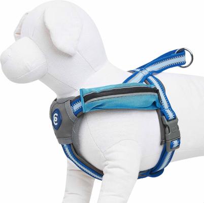 Show full view: Blueberry Pet Reflective Back to Basics No Pull Dog Harness Vest, Navy Blue, Small: 16.5 to 21-in chest slide 4 of 6