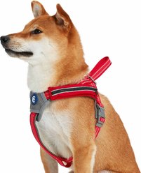 Blueberry Pet Reflective Back to Basics No Pull Dog Harness Vest, Rouge Red, Medium: 21.5 to 26.75-in chest